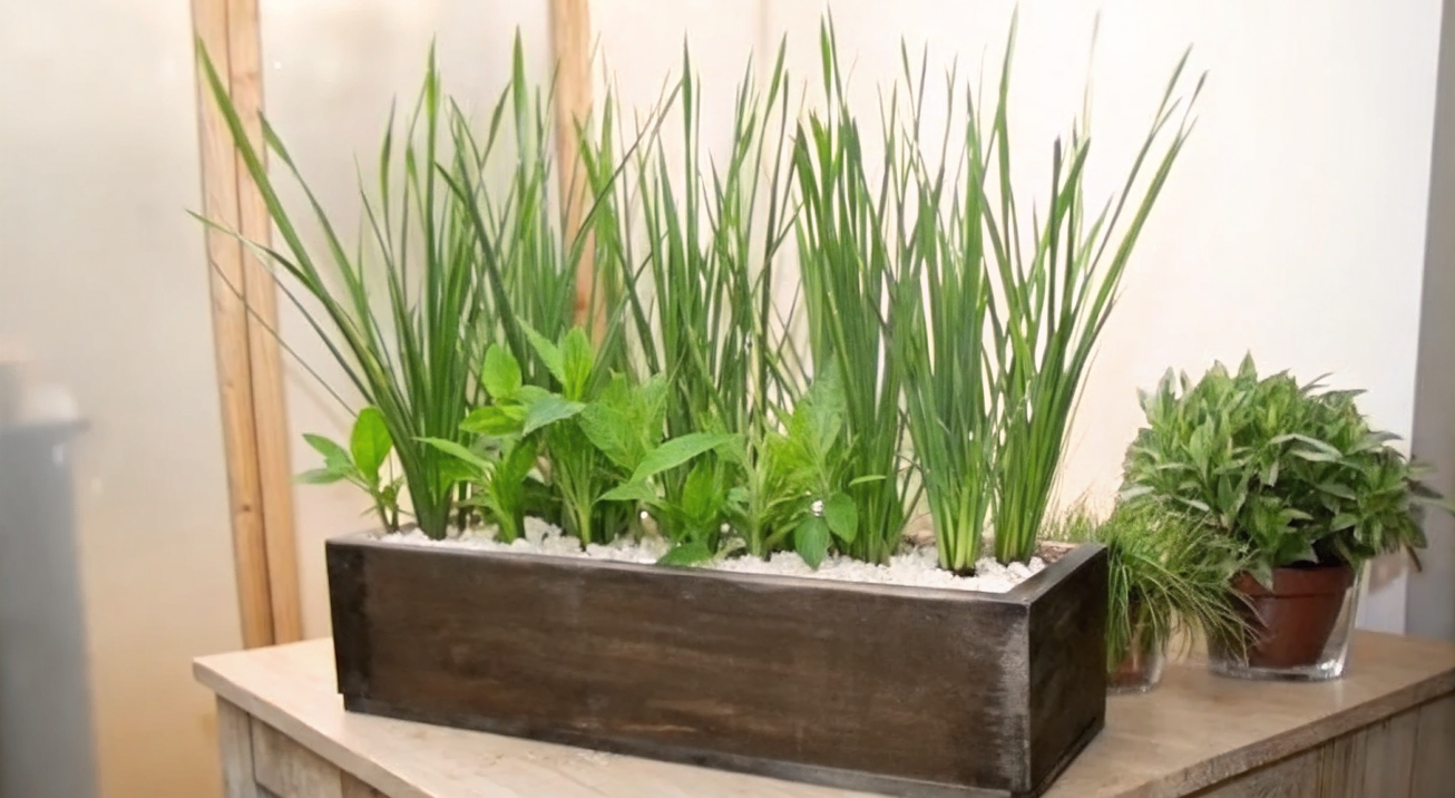 renta de plantas para decoracion de eventos